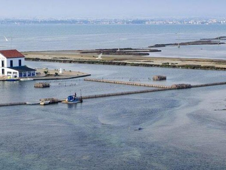 Penthouse for Sale in San Pedro Del Pinatar, Murcia 8