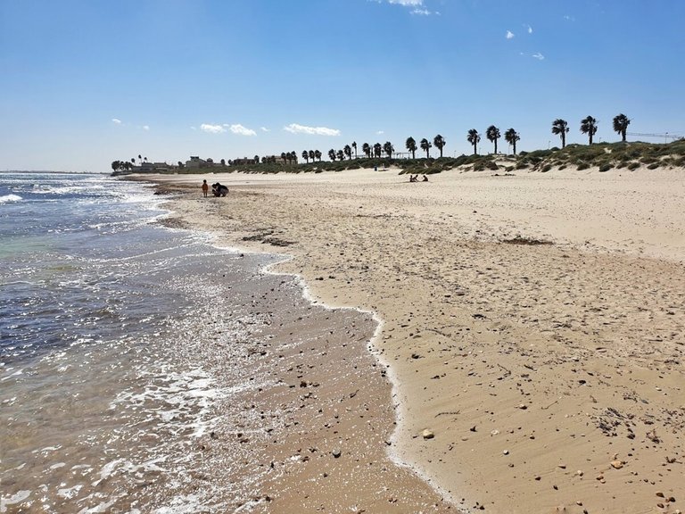 Penthouse for Sale in Pilar De La Horadada, Alicante 12