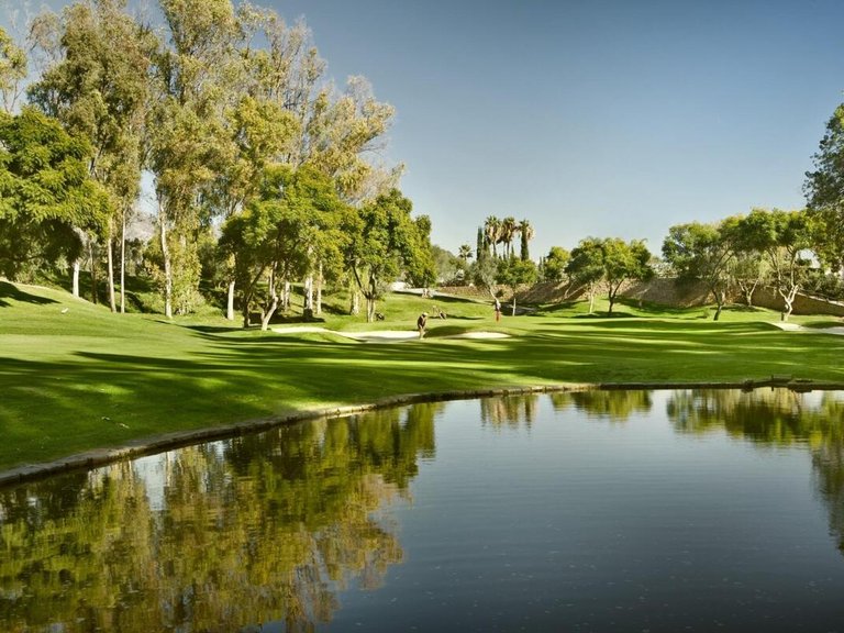 Apartment for Sale in Marbella, Malaga 13