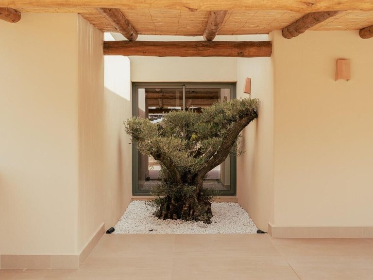 Villa for Sale in Xàbia, Alicante 5