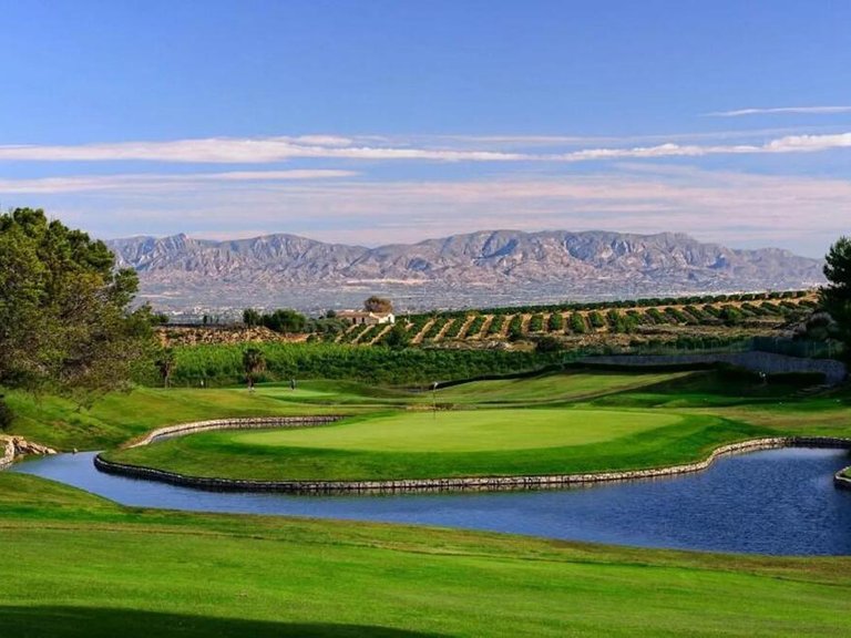 Villa for Sale in Algorfa, Alicante 37