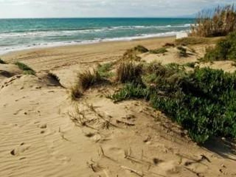 Apartment for Sale in Marbella, Malaga 7