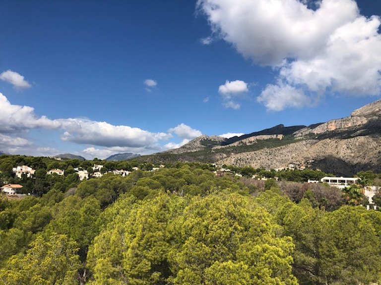 Villa for Sale in Costa Blanca Altea, Alicante 8