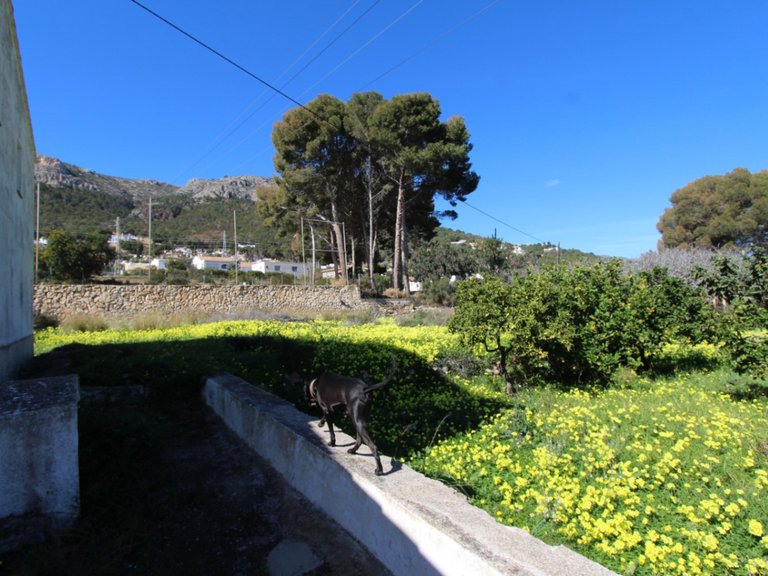 Villa for Sale in Costa Blanca Calpe, Alicante 7