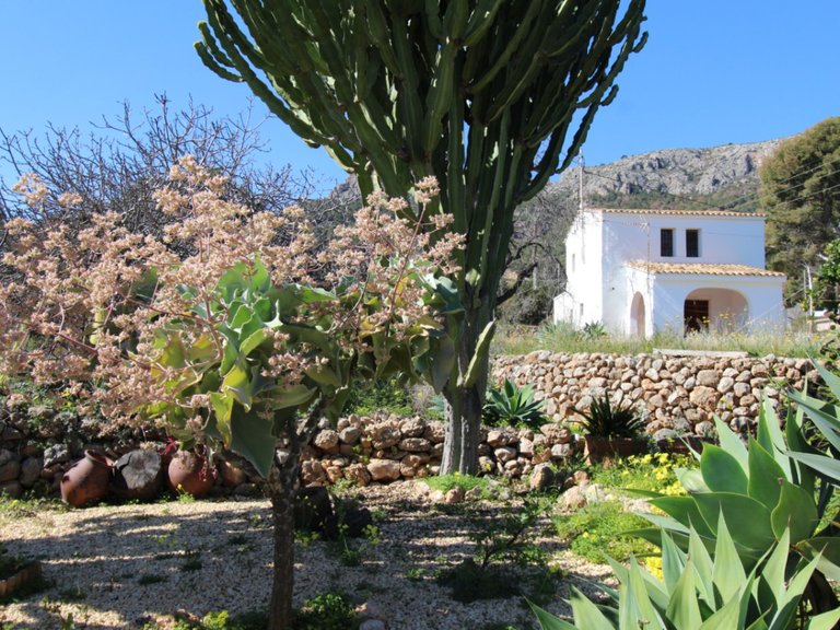 Villa for Sale in Costa Blanca Calpe, Alicante 29