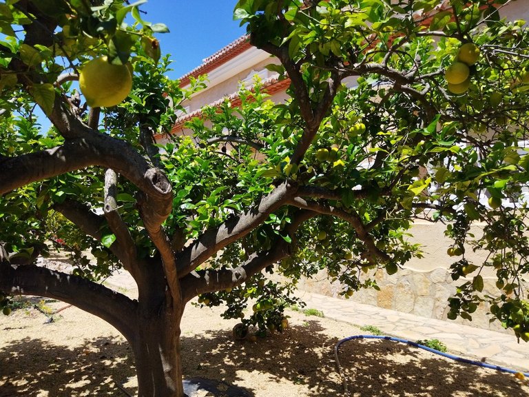 Villa for Sale in Costa Blanca Calpe, Alicante 9