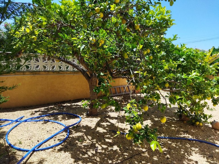 Villa for Sale in Costa Blanca Calpe, Alicante 11