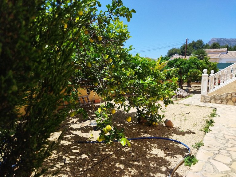 Villa for Sale in Costa Blanca Calpe, Alicante 12