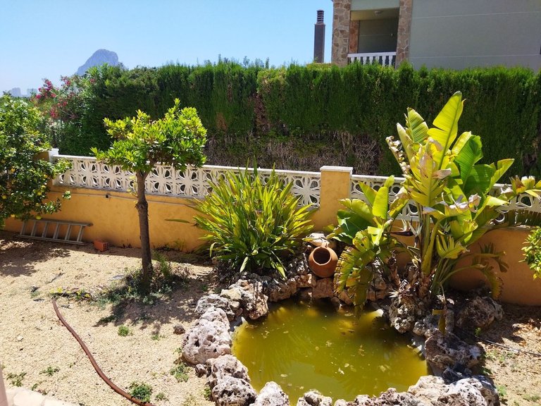 Villa for Sale in Costa Blanca Calpe, Alicante 23