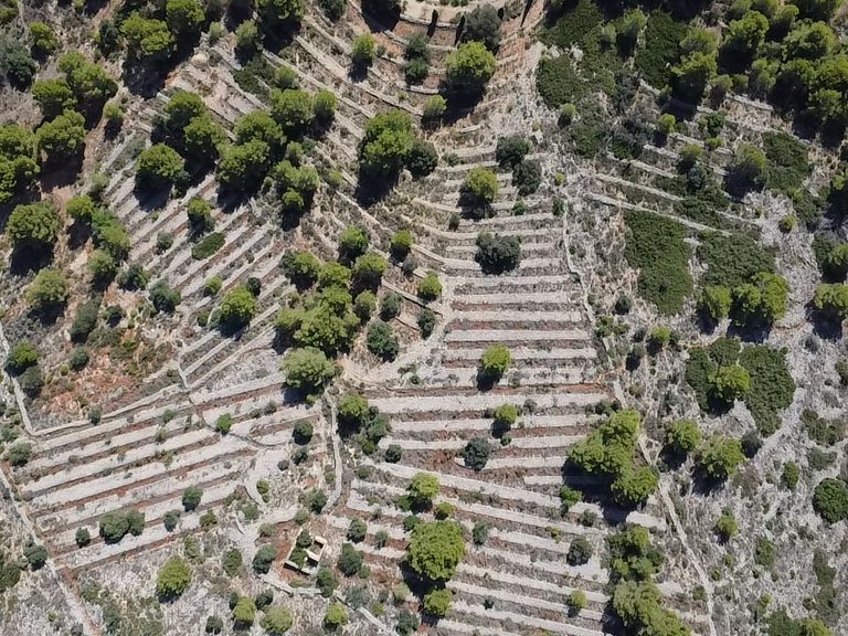 Plot for Sale in Costa Blanca Benissa, Alicante 9