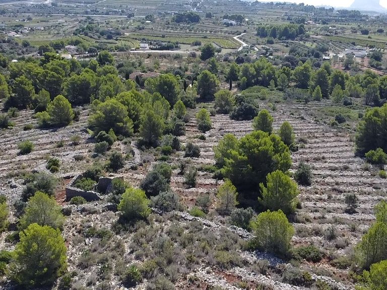 Plot for Sale in Costa Blanca Benissa, Alicante 6