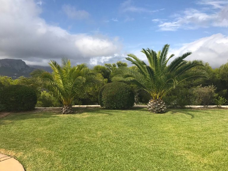 Villa for Sale in Costa Blanca Calpe, Alicante 6