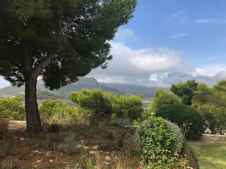 Villa for Sale in Costa Blanca Calpe, Alicante 7