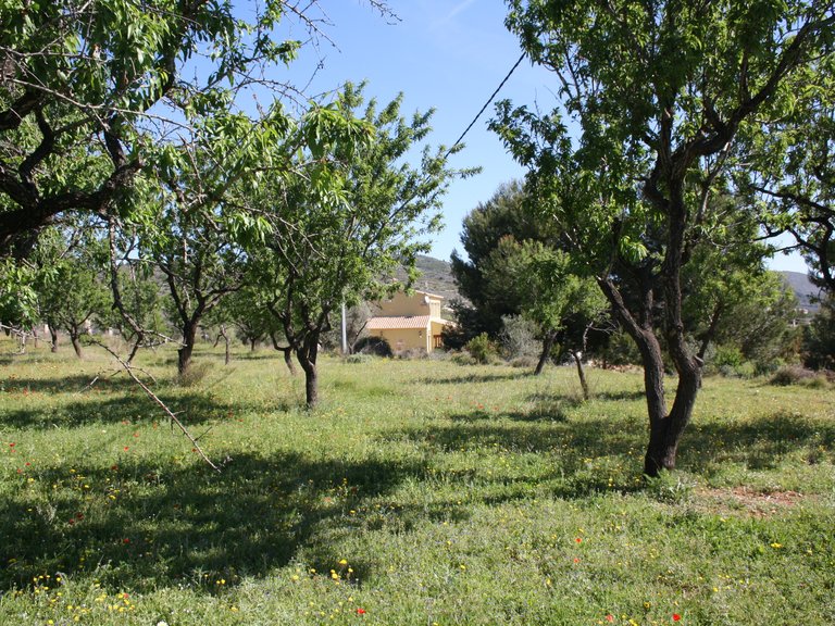 Villa for Sale in Costa Blanca Benissa, Alicante 33