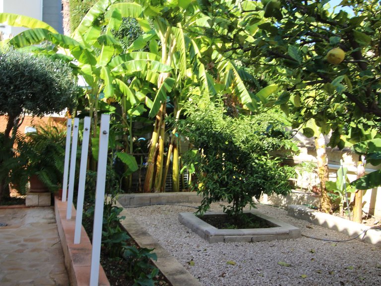 Villa for Sale in Costa Blanca Calpe, Alicante 8