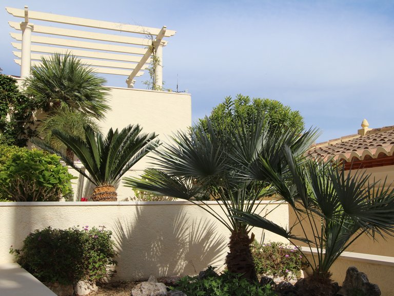 Villa for Sale in Costa Blanca Calpe, Alicante 34