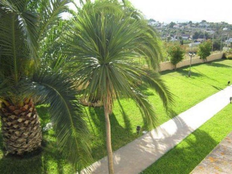 Villa for Sale in Costa Blanca Benissa, Alicante 8