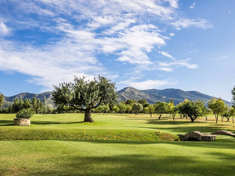 Villa for Sale in Lauro Golf, Malaga 25