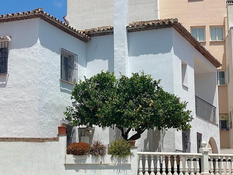 Villa for Sale in Benahavís, Malaga 16