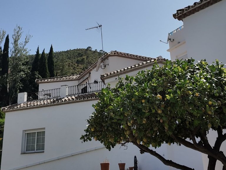 Villa for Sale in Benahavís, Malaga 17