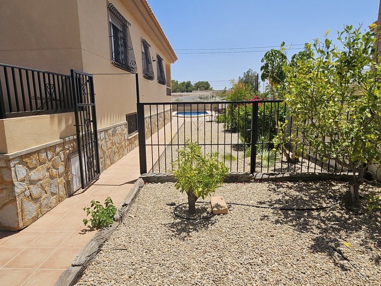 Villa for Sale in Inland Pinar De Campoverde, Alicante 8
