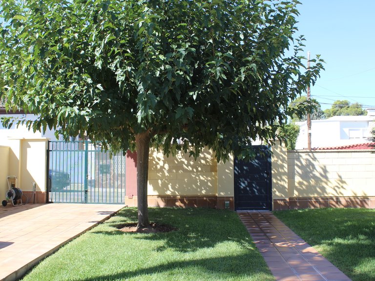 Villa for Sale in Costa de Valencia L'eliana, Valencia 29