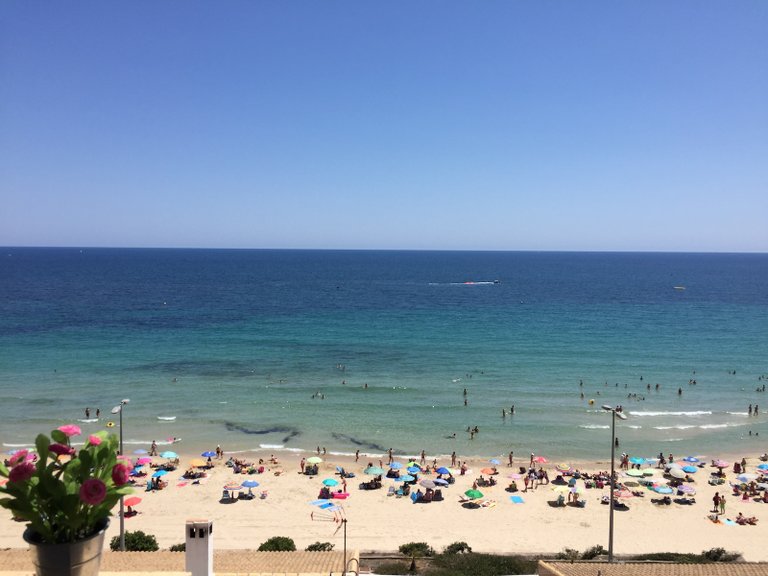 Apartment for Sale in Costa Blanca Mil Palmeras, Alicante 18