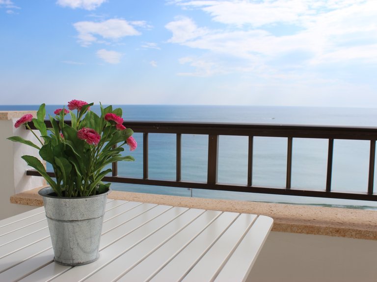 Apartment for Sale in Costa Blanca Mil Palmeras, Alicante 17