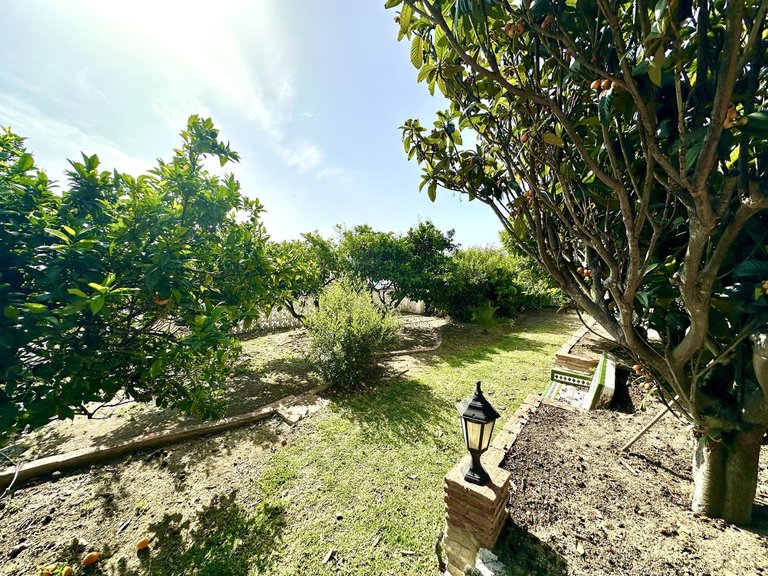 Villa for Sale in Torremuelle, Malaga 19