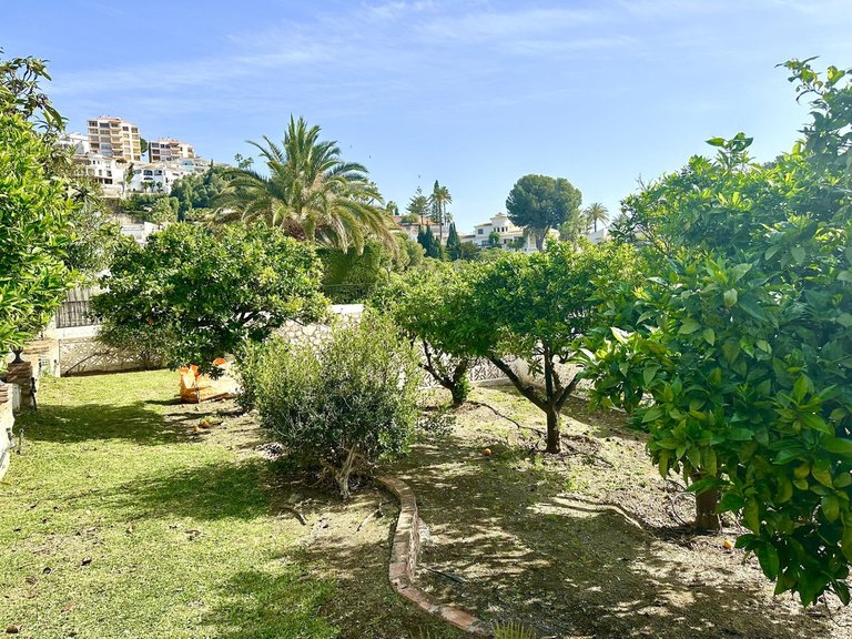 Villa for Sale in Torremuelle, Malaga 22