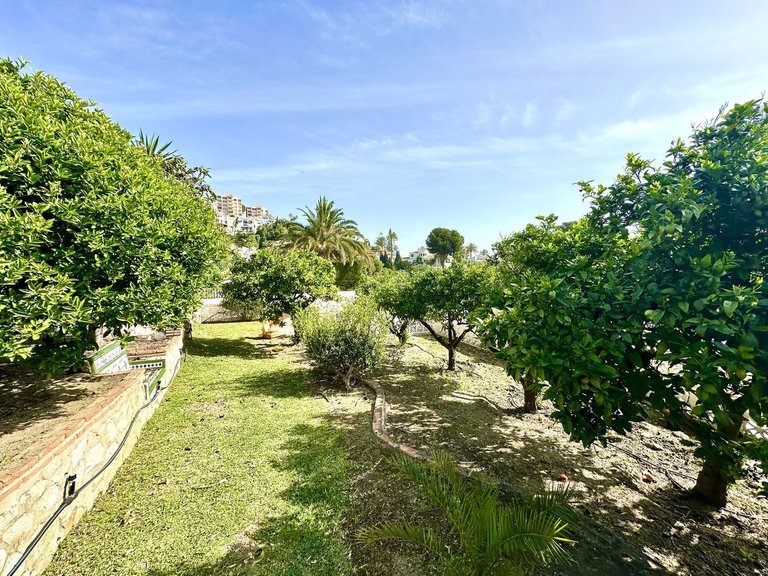 Villa for Sale in Torremuelle, Malaga 3