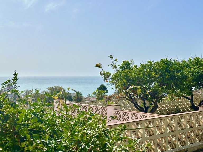 Villa for Sale in Torremuelle, Malaga 8