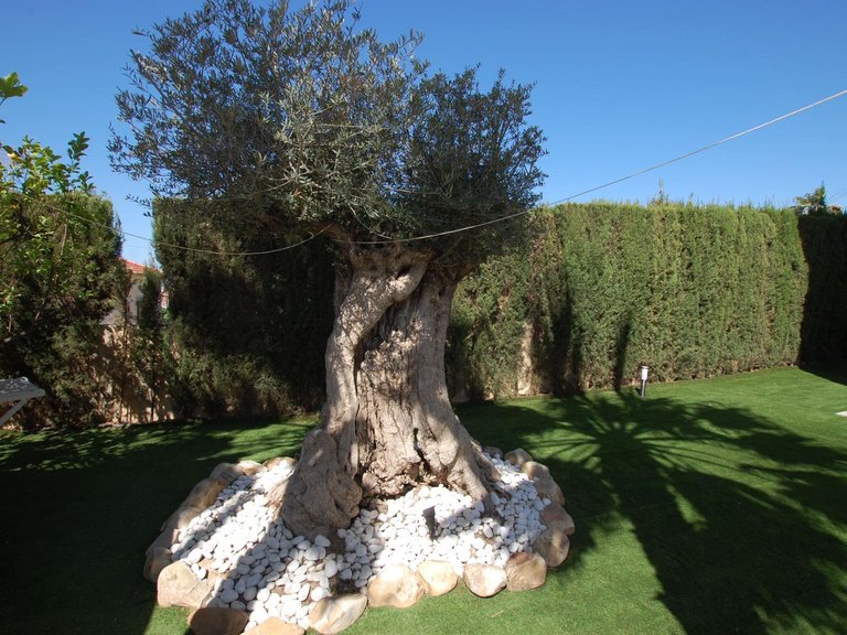 Villa for Sale in Costa Blanca Ciudad Quesada, Alicante 10