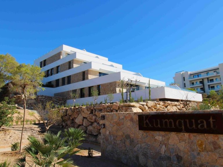 Apartment for Sale in Costa Blanca Las Colinas Golf, Alicante 23