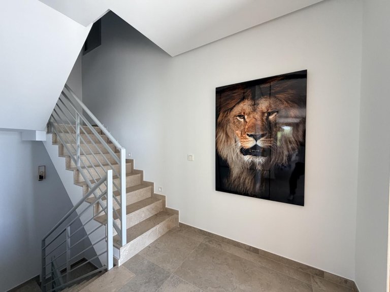 Villa for Sale in Costa Blanca Benijofar, Alicante 33