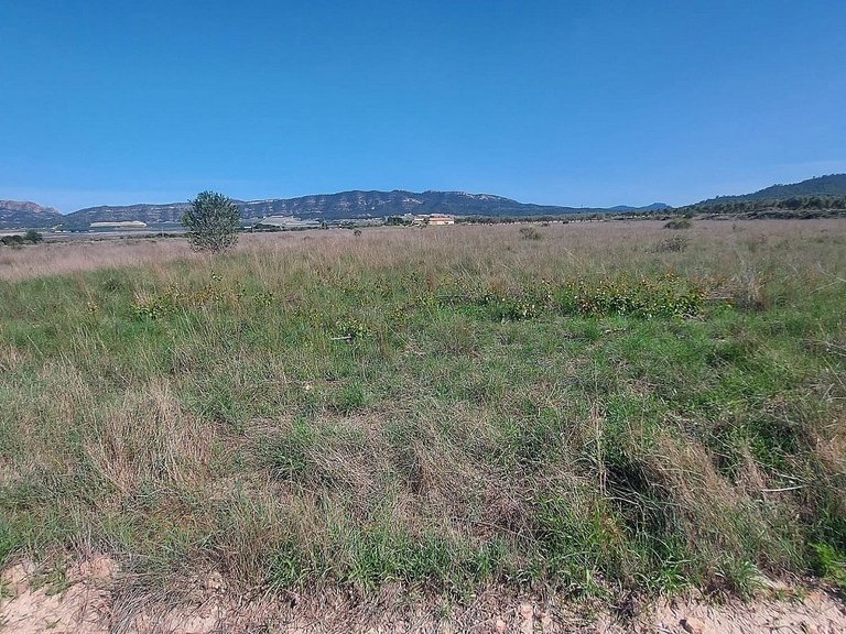 Plot for Sale in Salinas, Alicante 2