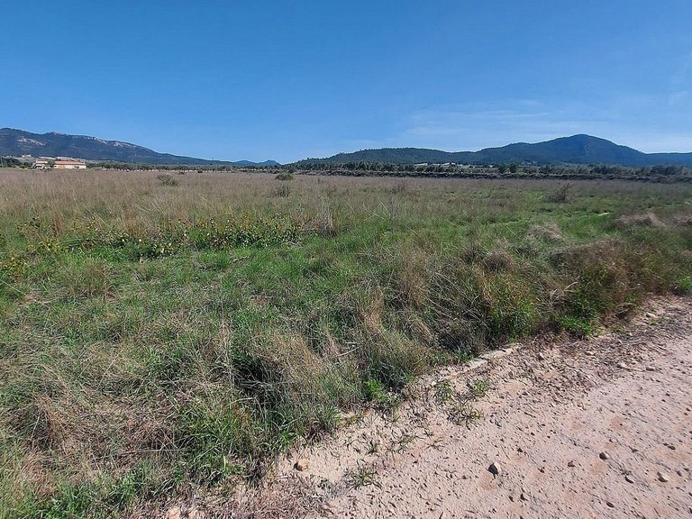 Plot for Sale in Salinas, Alicante 1