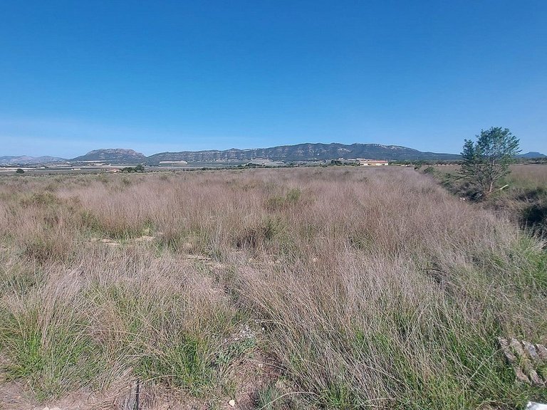 Plot for Sale in Salinas, Alicante 3