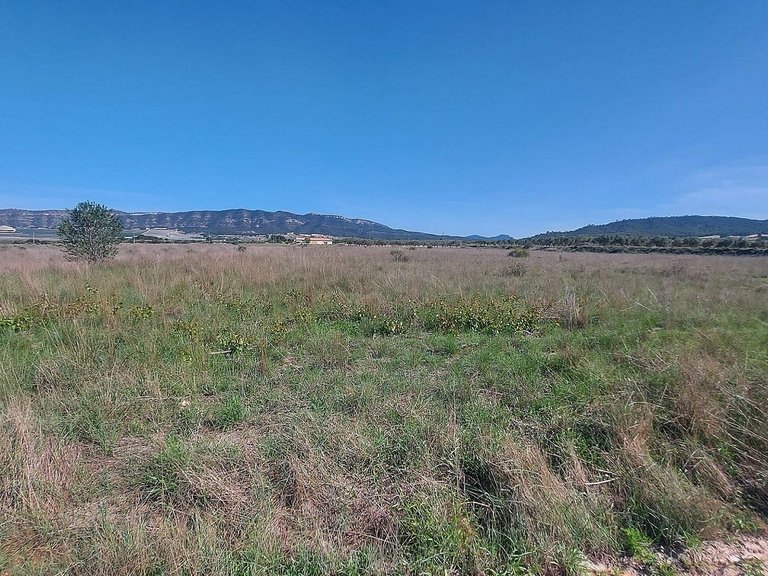 Plot for Sale in Salinas, Alicante 4