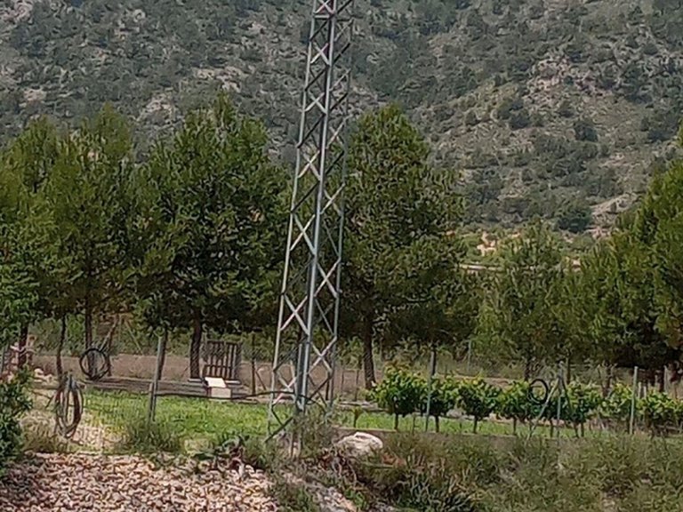 Plot for Sale in Salinas, Alicante 3