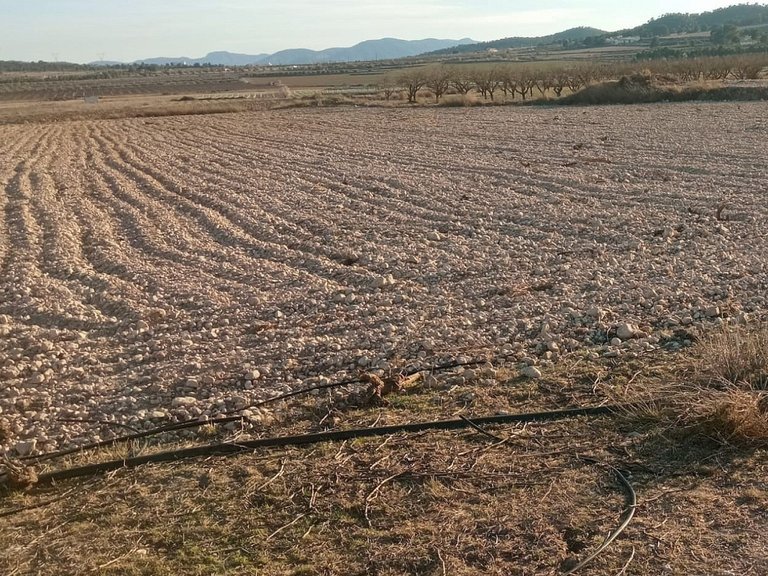 Plot for Sale in Salinas, Alicante 2
