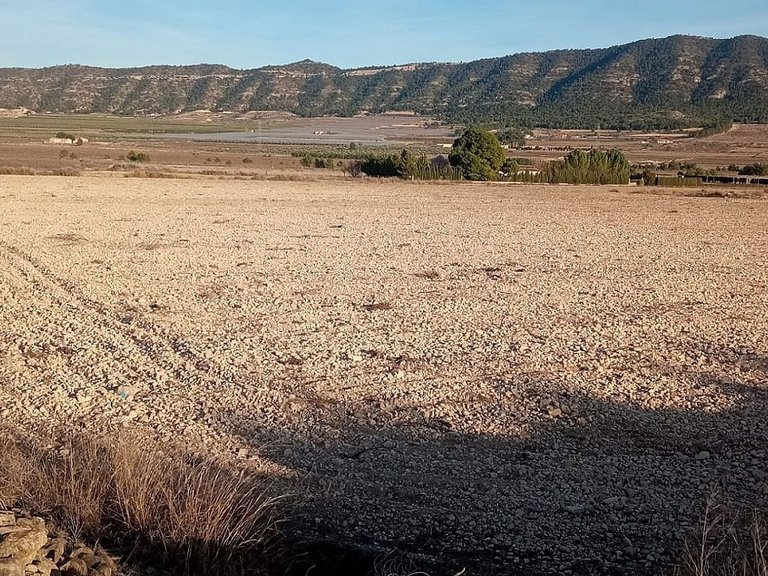 Plot for Sale in Salinas, Alicante 1