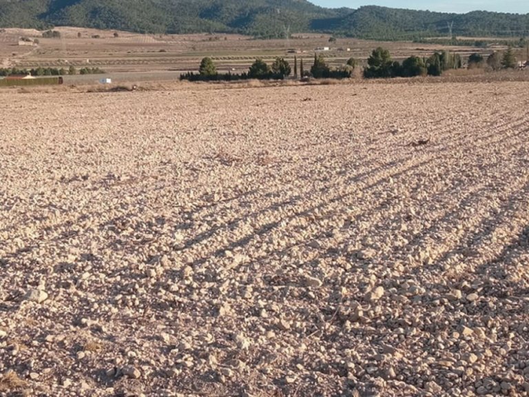 Plot for Sale in Salinas, Alicante 4