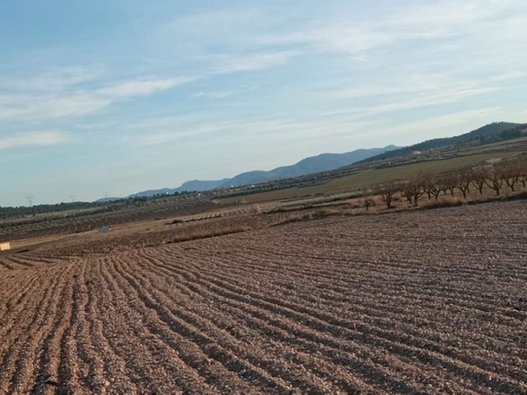Plot for Sale in Salinas, Alicante 3