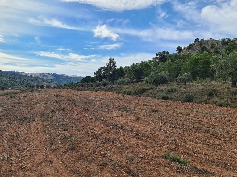 Plot for Sale in Pinoso, Alicante 11