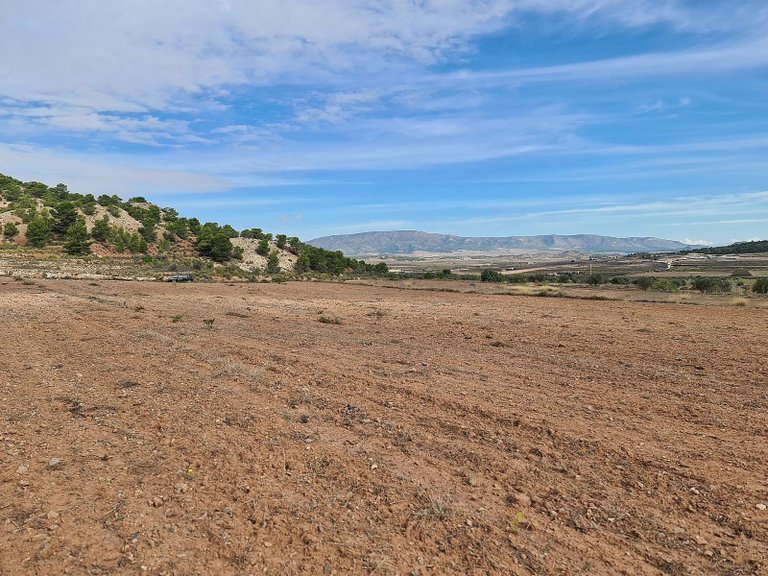 Plot for Sale in Pinoso, Alicante 10