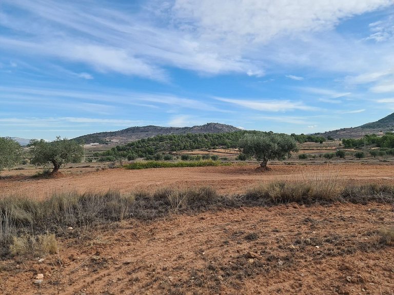 Plot for Sale in Pinoso, Alicante 5