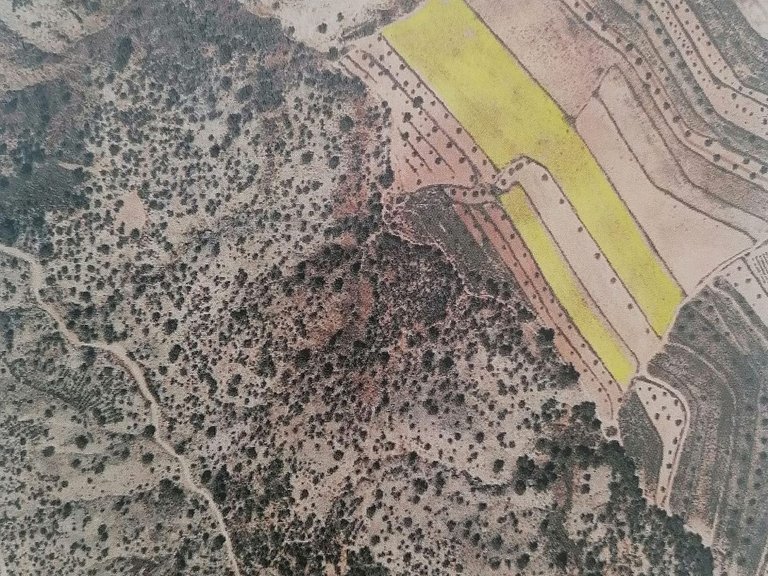 Plot for Sale in Pinoso, Alicante 1