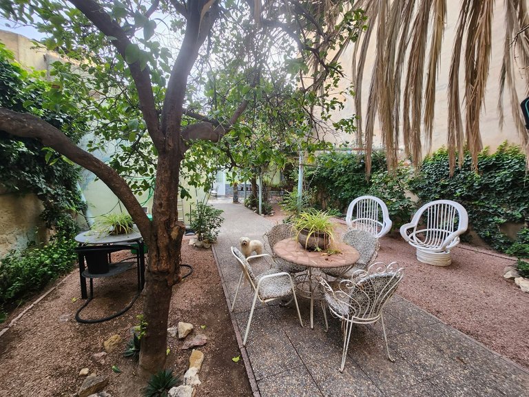 Town House for Sale in Monóvar, Alicante 6