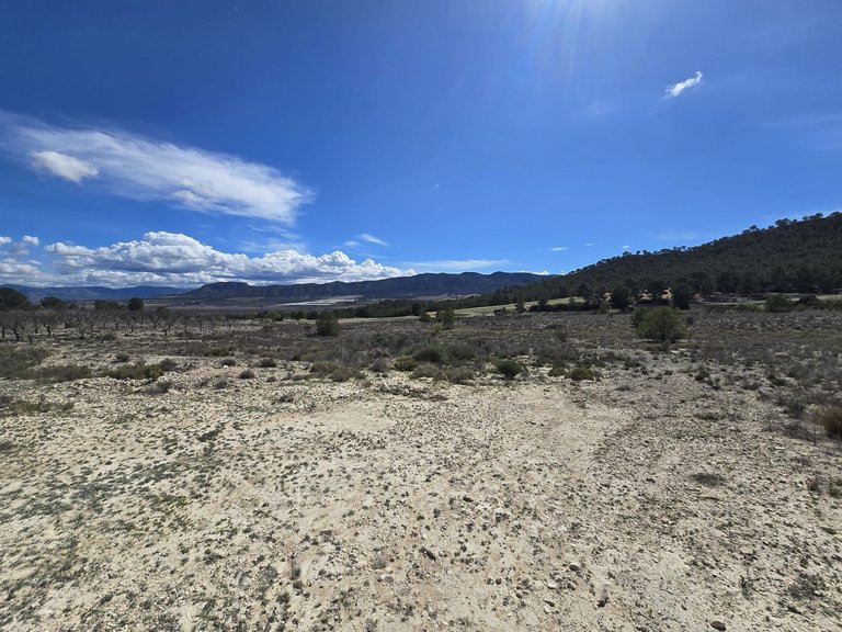 Plot for Sale in Salinas, Alicante 1